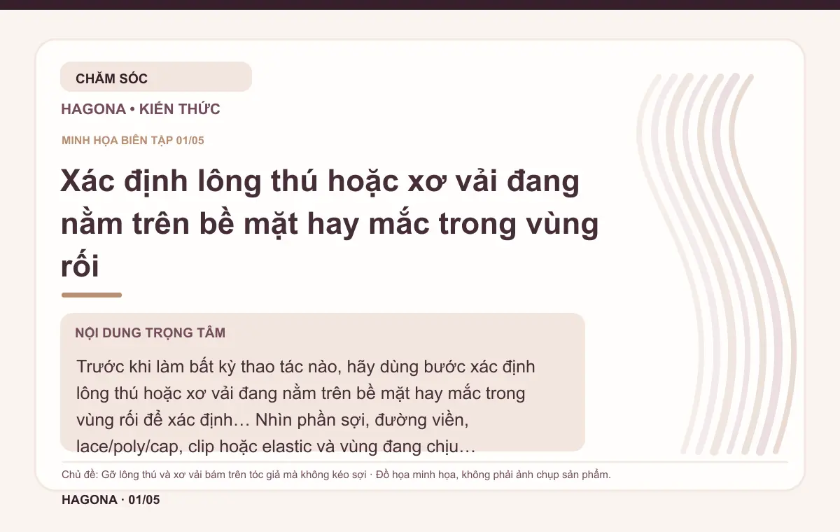 Đồ họa minh họa HAGONA về Xác định lông thú hoặc xơ vải đang nằm trên bề mặt hay mắc trong vùng rối trong bài Gỡ lông thú và xơ vải bám trên tóc giả mà không kéo sợi