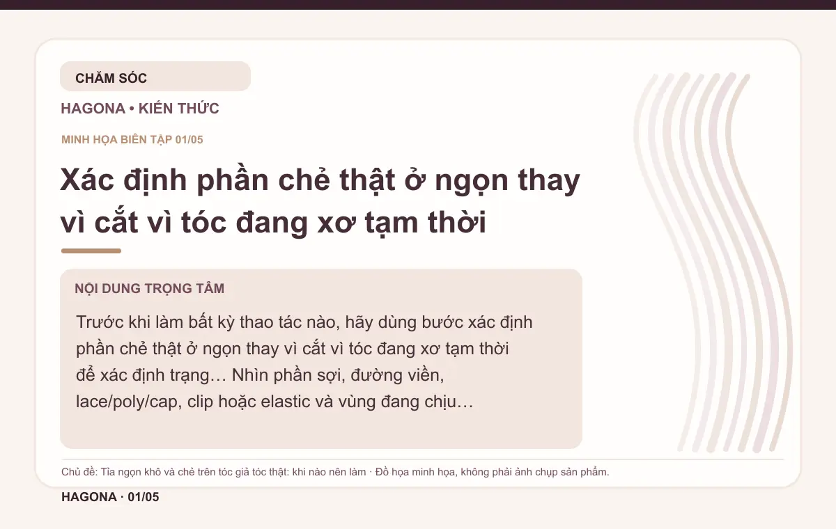 Đồ họa minh họa HAGONA về Xác định phần chẻ thật ở ngọn thay vì cắt vì tóc đang xơ tạm thời trong bài Tỉa ngọn khô và chẻ trên tóc giả tóc thật: khi nào nên làm