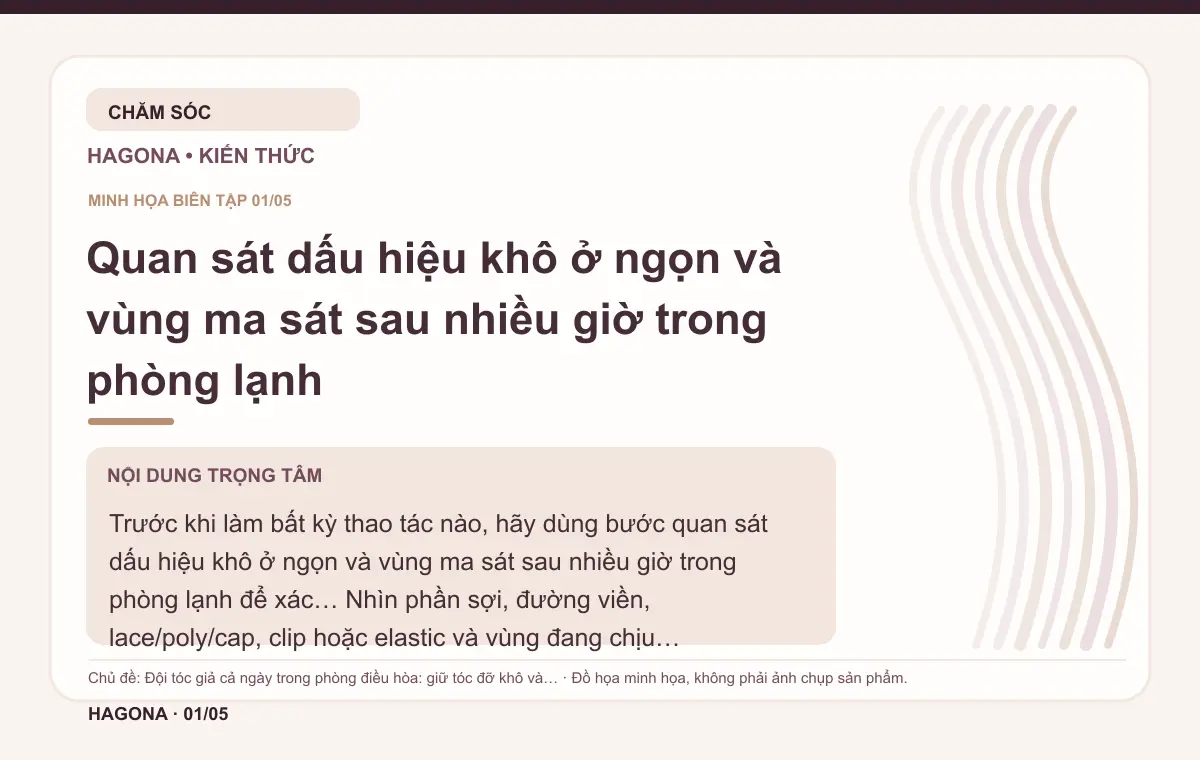 Đồ họa minh họa HAGONA về Quan sát dấu hiệu khô ở ngọn và vùng ma sát sau nhiều giờ trong phòng lạnh trong bài Đội tóc giả cả ngày trong phòng điều hòa: giữ tóc đỡ khô và rối