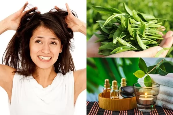 Trà xanh có tác dụng giảm rụng tóc như thế nào?