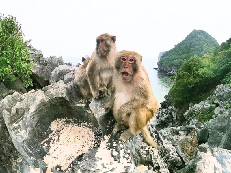 Bãi biển tại Cát Bà