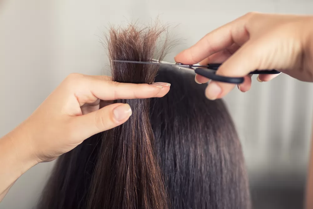 12 lý do tại sao tóc của bạn ngừng phát triển