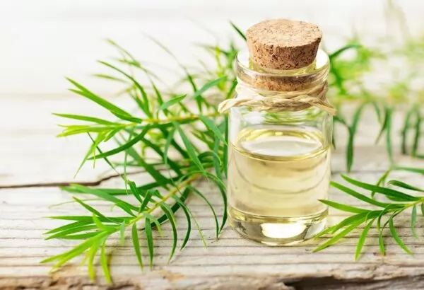 6 Cách sử dụng dầu ô liu để điều trị gàu