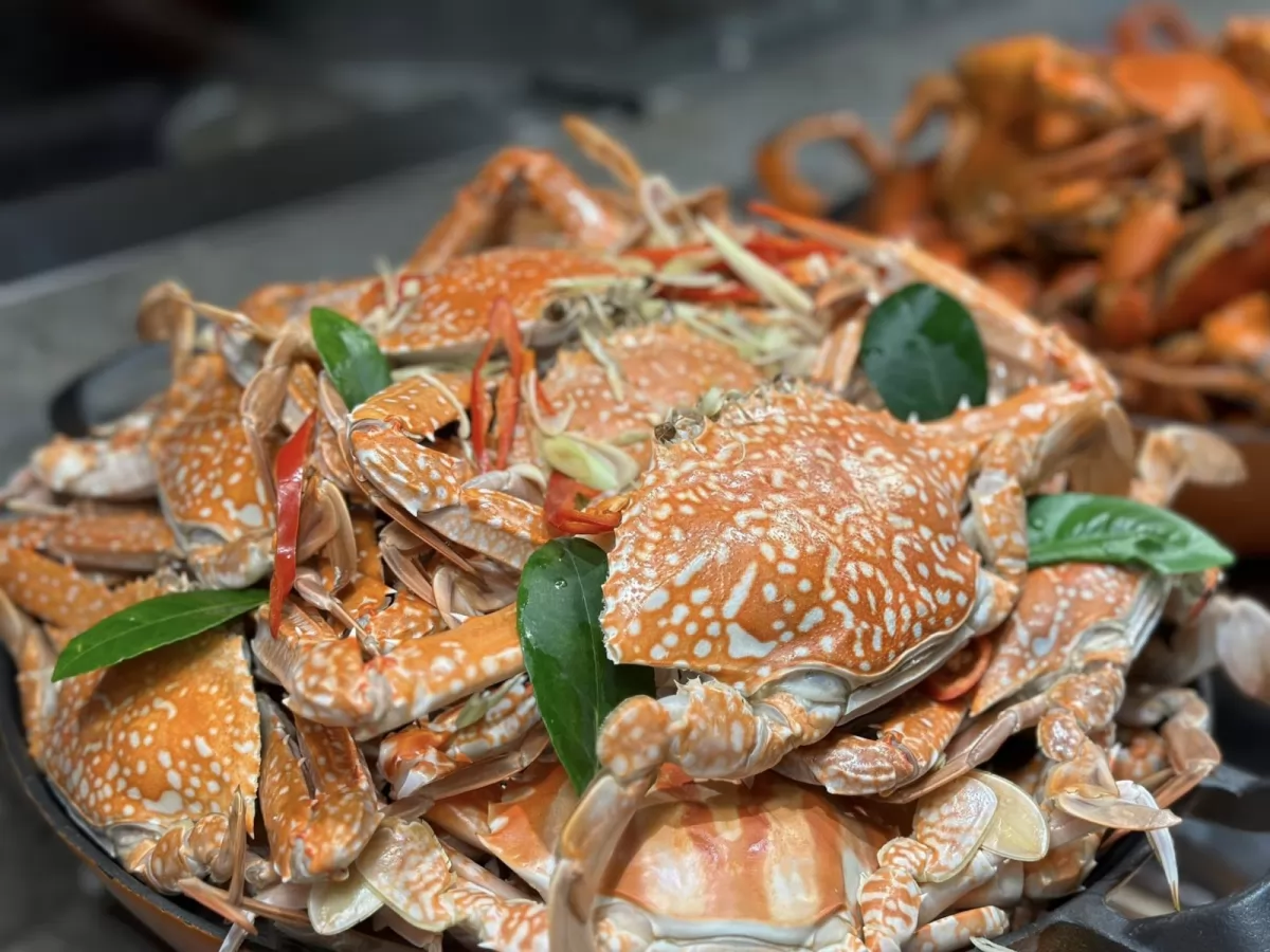 Hải sản tại Cát Bà