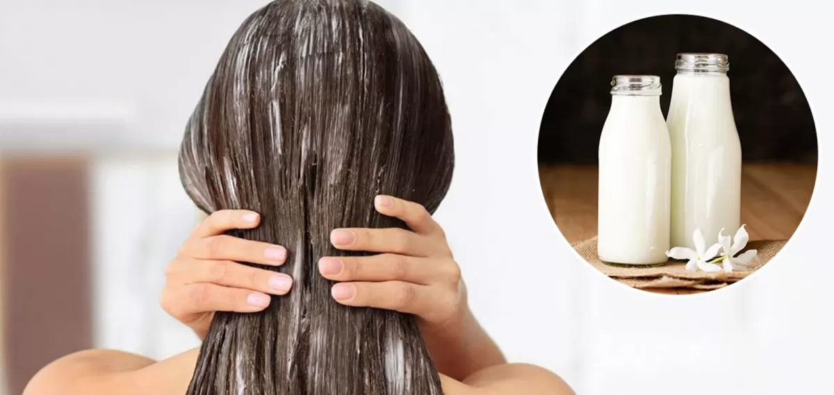 Sữa có tốt cho tóc không? Lợi ích và cách sử dụng sữa để chăm sóc tóc