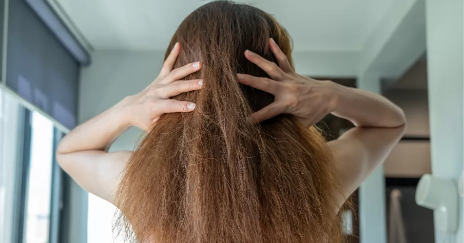 7 cách phục hồi tóc hư tổn từ thiên nhiên hiệu quả nhanh chóng