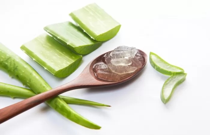 Top 15 mặt nạ tóc trị gàu hiệu quả từ thiên nhiên
