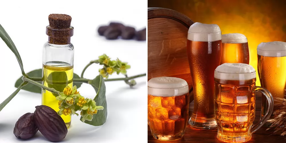 Lợi ích của bia với mái tóc và cách sử dụng bia để dưỡng tóc khỏe đẹp