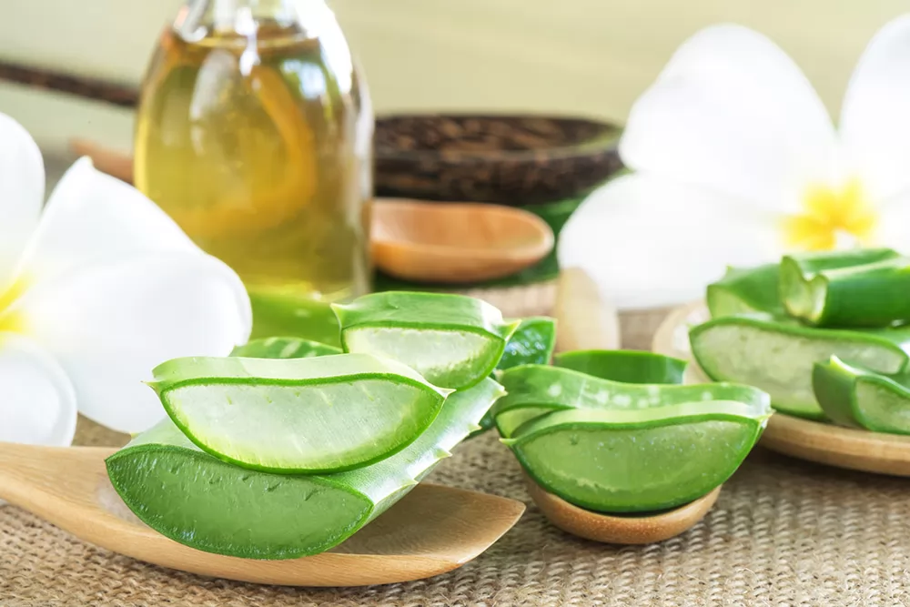 8 Cách Đơn Giản Trị Rụng Tóc Ở Thái Dương