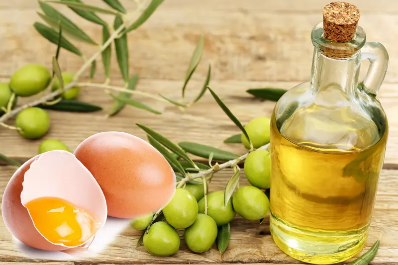 6 Cách sử dụng dầu ô liu để điều trị gàu