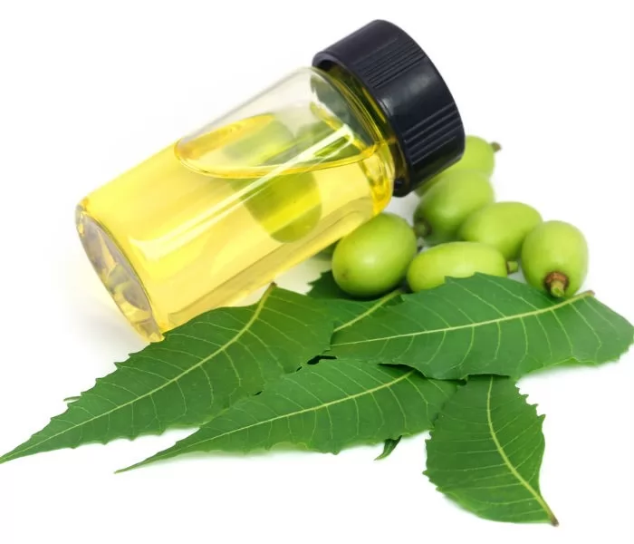 8 Cách Đơn Giản Trị Rụng Tóc Ở Thái Dương