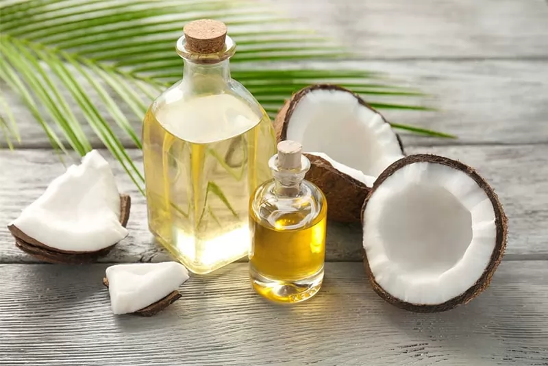 Hướng dẫn cách dưỡng ẩm cho tóc hiệu quả