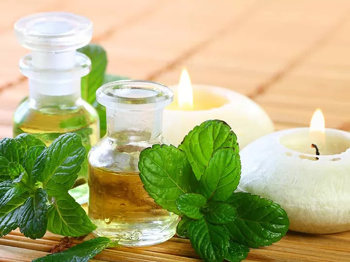 14 cách trị ngứa da đầu từ thiên nhiên tại nhà