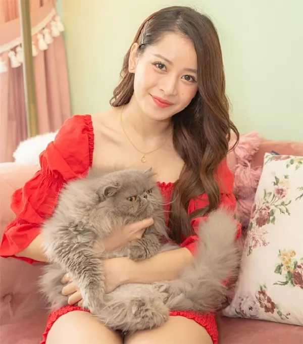 Kiểu tóc giả màu nâu hạt dẻ đậm
