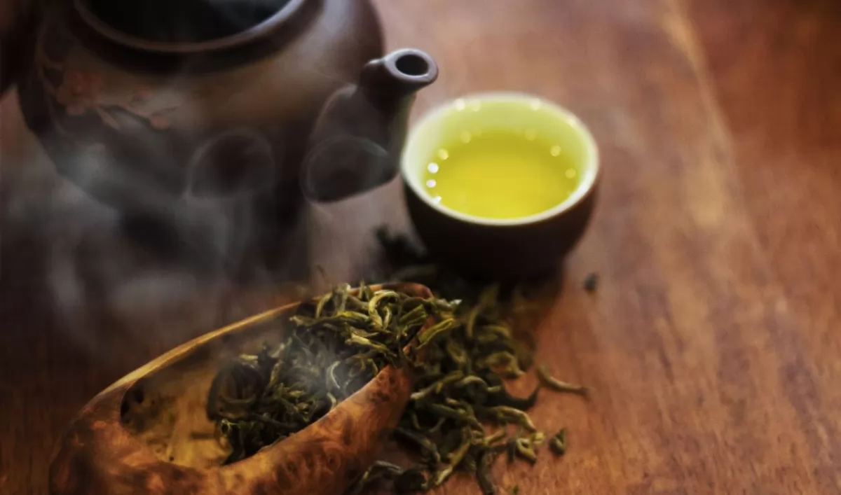 Trà shan tuyết là gì ? Trà Shan Tuyết cổ thụ Hà Giang có tác dụng gì?