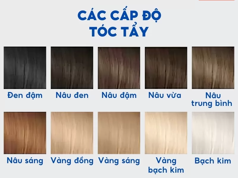 Hướng dẫn cách tẩy tóc tại nhà chi tiết hiệu quả ngay lần đầu