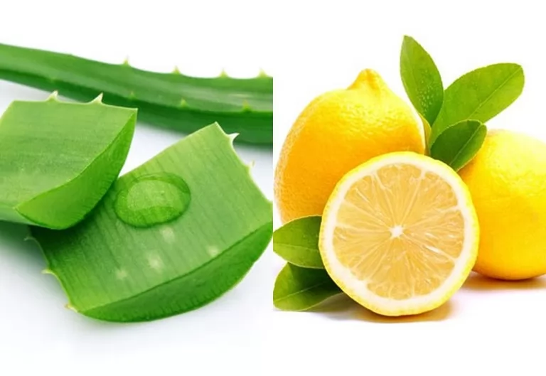 Dầu dừa và nước chanh có thể thúc đẩy mọc tóc không?