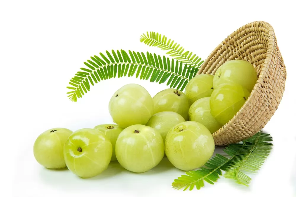 Cách điều trị tóc bạc sớm: Nguyên nhân, cách chữa và mẹo ngăn ngừa