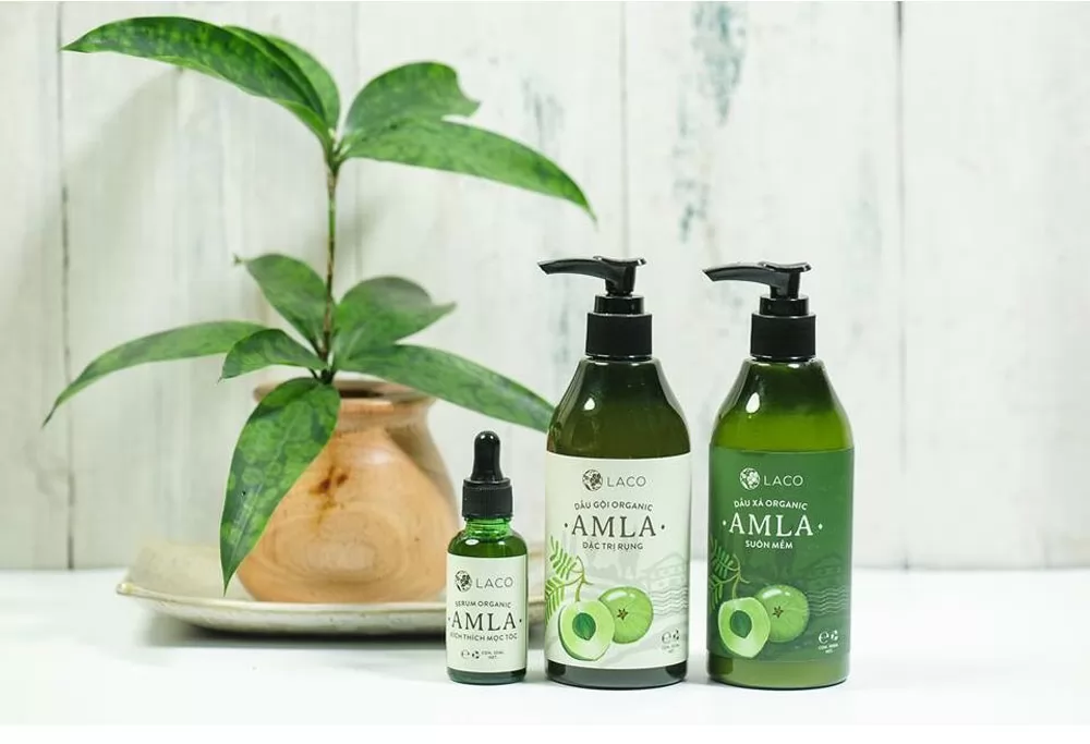Tinh dầu cho tóc khô: Dầu Amla có tác dụng gì?