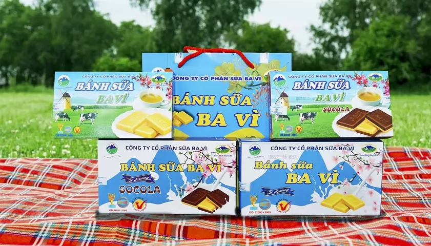 Du lịch Ba Vì: Kinh nghiệm chi tiết khám phá thiên nhiên và văn hóa vùng núi gần Hà Nội