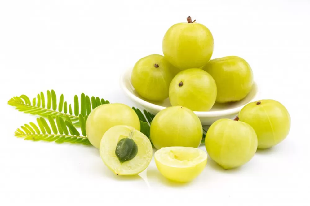 Tinh dầu cho tóc khô: Dầu Amla có tác dụng gì?