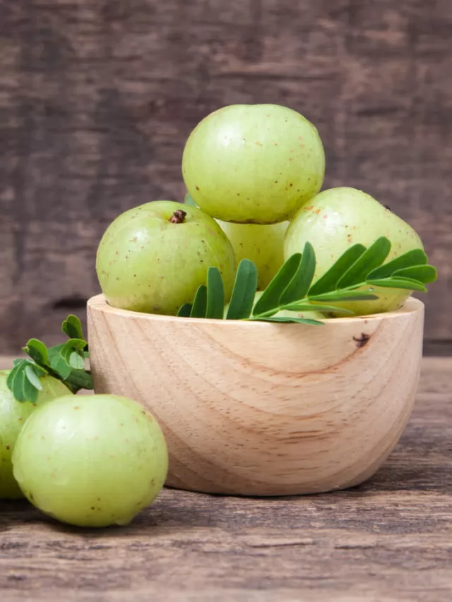 Gàu ướt là gì? 5 cách loại bỏ gàu ướt trên da đầu dầu nhờn