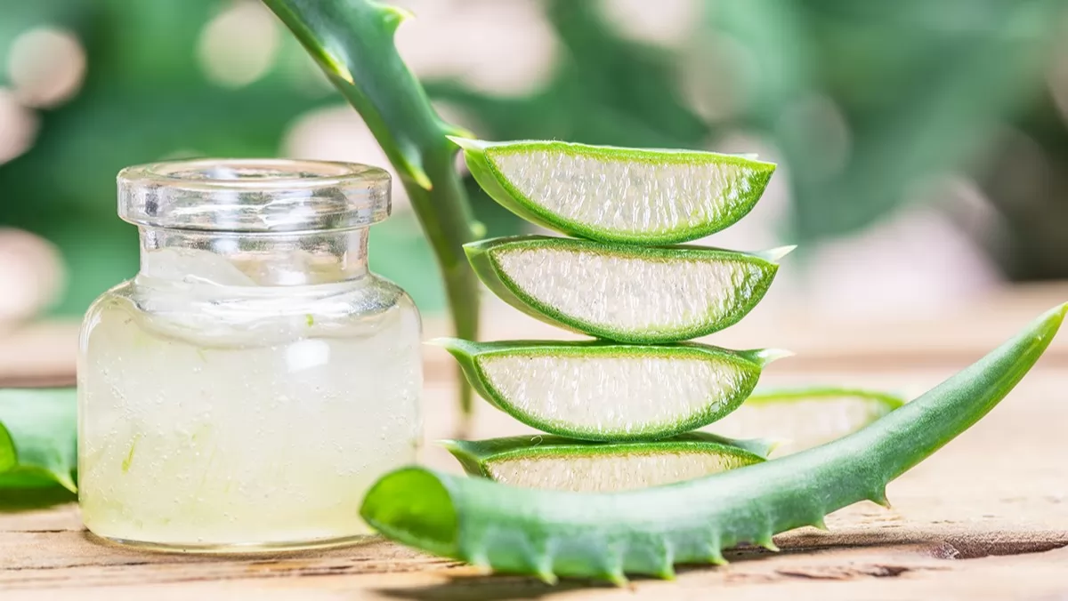 14 cách trị ngứa da đầu từ thiên nhiên tại nhà