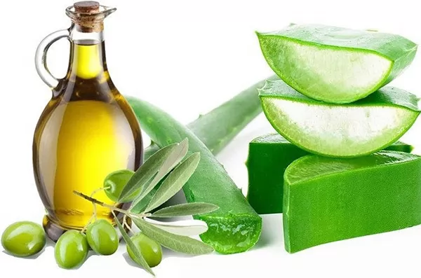 Trị rụng tóc bằng nha đam lô hội có hiệu quả không?