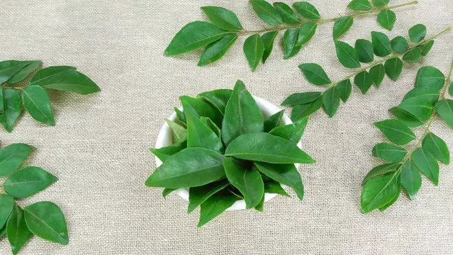 Cách sử dụng lá cà ri để mọc tóc nhanh chóng và hiệu quả
