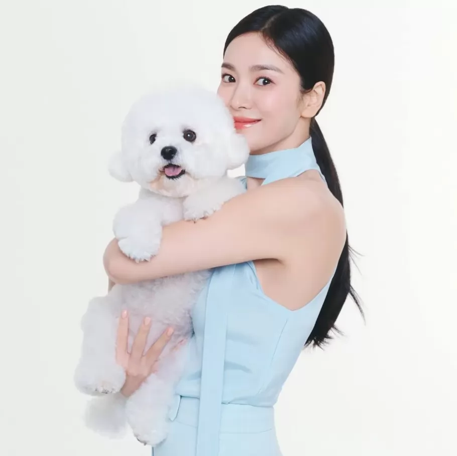 Khám phá 4 cách buộc tóc sang trọng dành cho phụ nữ trên 40 từ Song Hye Kyo