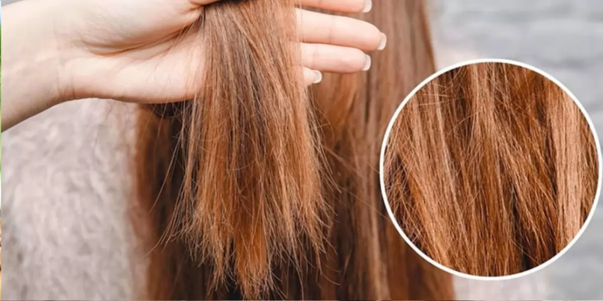 Nhuộm Tóc Màu Gì Không Sợ Phai Thành Màu Vàng? Bí Quyết Duy Trì Mái Tóc Đẹp Lâu Dài