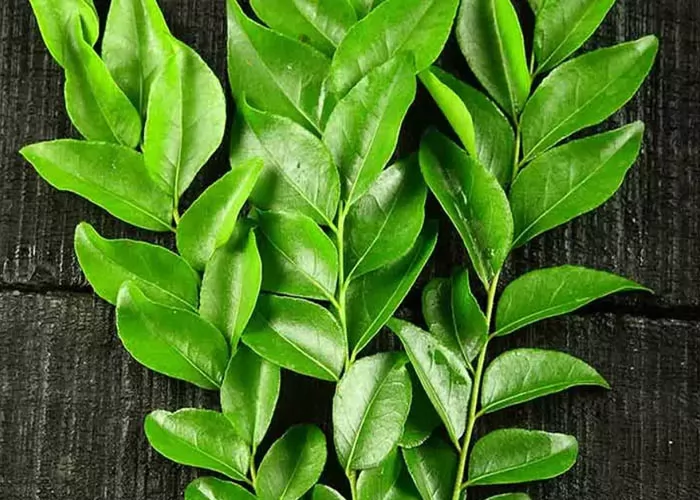 Cách điều trị tóc bạc sớm: Nguyên nhân, cách chữa và mẹo ngăn ngừa