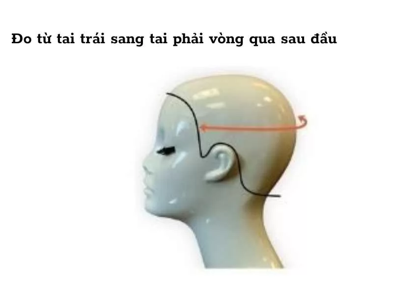 Hướng dẫn cách đo tóc giả và chọn size đúng cách tại Hagona