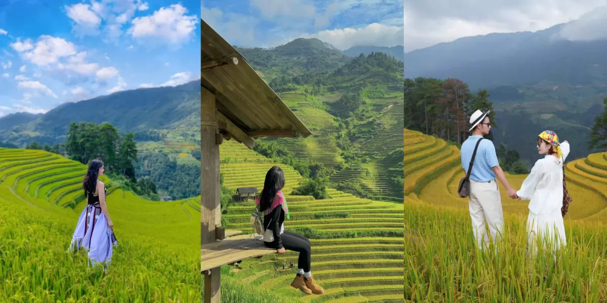 Kinh nghiệm du lịch Mù Cang Chải mùa lúa chín: Kiệt tác giữa đại ngàn Tây Bắc
