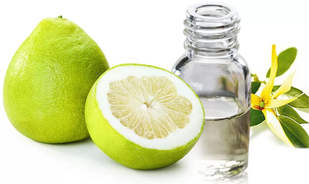 Phân tích 10 lợi ích của tinh dầu bưởi kích thích mọc tóc