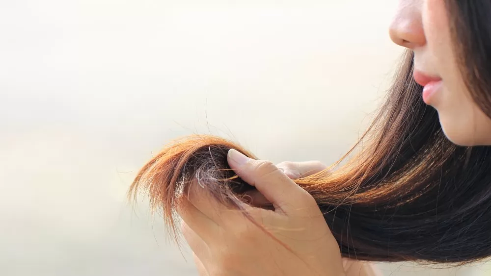 15 Cách Loại Bỏ Tóc Chẻ Ngọn Mà Không Cần Cắt Tóc