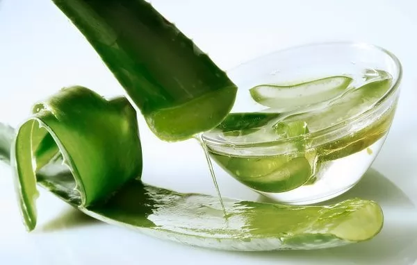 15 mặt nạ tóc trị rụng tóc hiệu quả từ thiên nhiên