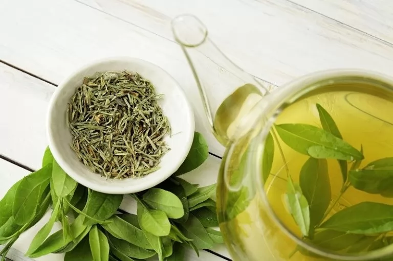 Trà xanh có tác dụng giảm rụng tóc như thế nào?