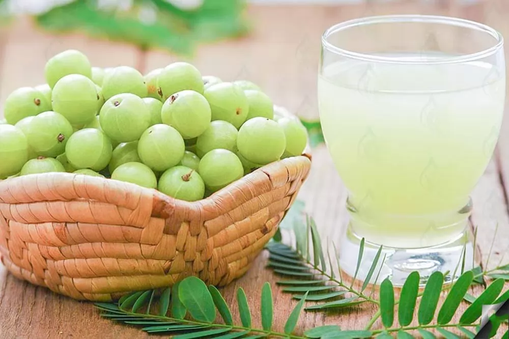 Tinh dầu cho tóc khô: Dầu Amla có tác dụng gì?