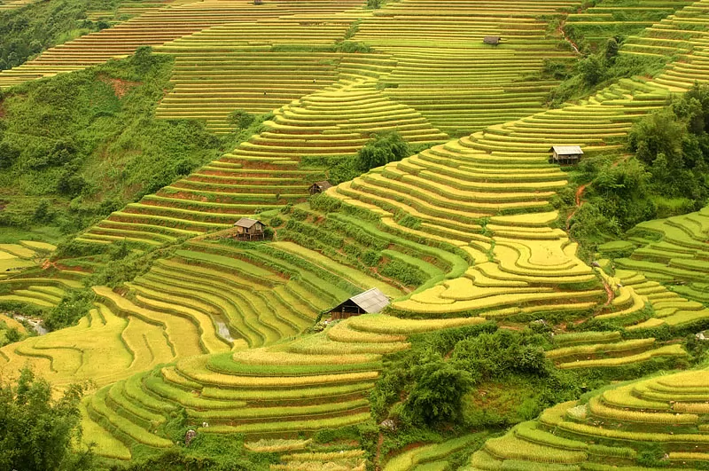 Du lịch Điện Biên: Ăn ngon, ở tiện và những lưu ý quan trọng