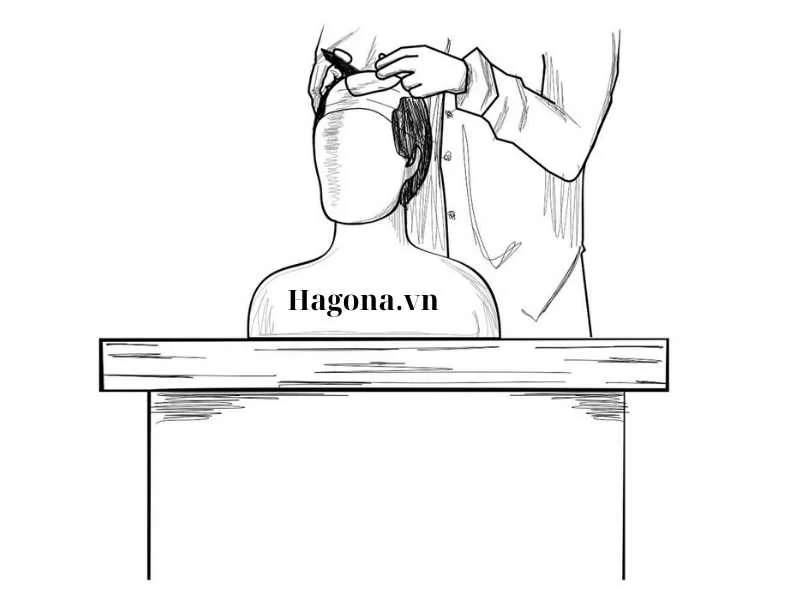 Hướng dẫn cách đo from tóc giả chi tiết tại Hagona