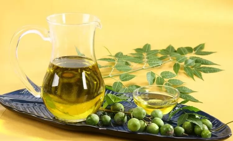 14 cách trị ngứa da đầu từ thiên nhiên tại nhà
