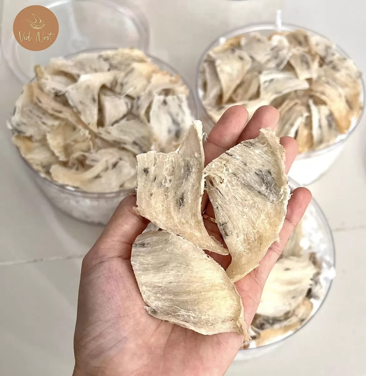 Địa chỉ mua yến sào Khánh Hòa chất lượng và uy tín hiện nay