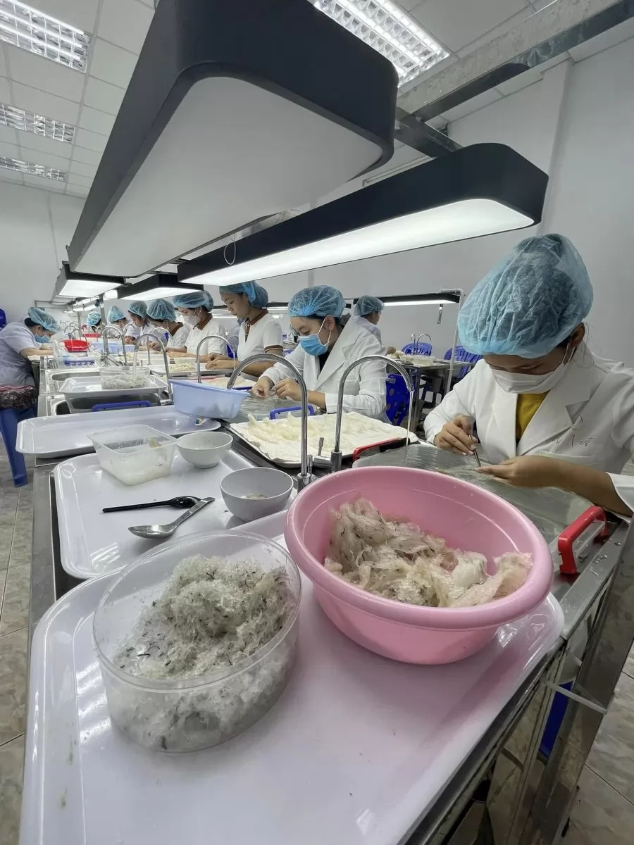 Địa chỉ mua yến sào Khánh Hòa chất lượng và uy tín hiện nay