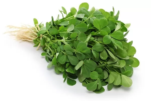 Cách sử dụng sữa chua để mọc tóc hiệu quả tại nhà