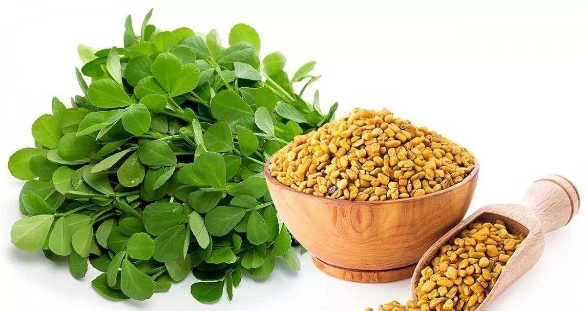15 mặt nạ tóc trị rụng tóc hiệu quả từ thiên nhiên