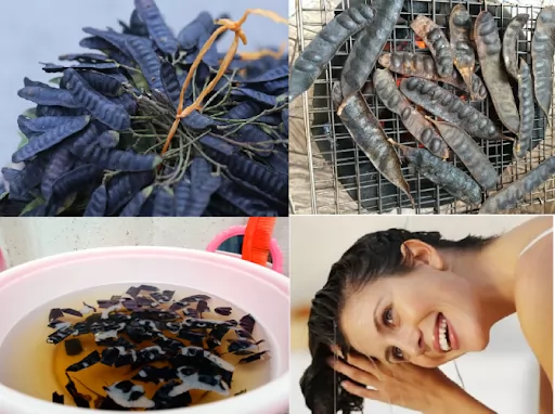 Cách trị tóc bạc sớm bằng thảo dược