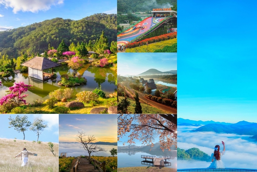 Các địa điểm du lịch Đà Lạt đáng ghé thăm nhất 2026