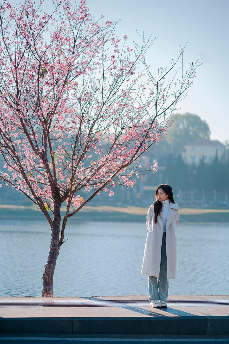 Chi phí du lịch Đà Lạt tự túc bao nhiêu tiền