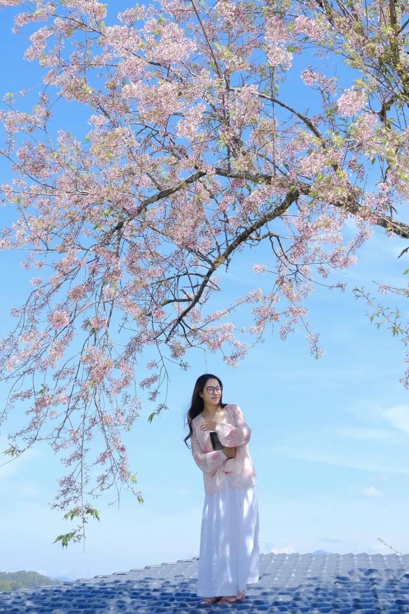 Gợi ý lịch trình du lịch Đà Lạt tự túc chi tiết, dễ áp dụng